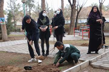 گرامی داشت هفته درختکاری و کاشت نهال در خوابگاه های دانشجویی دانشگاه/ گزارش تصویری