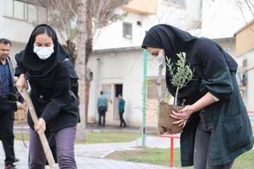 گرامی داشت هفته درختکاری و کاشت نهال در خوابگاه های دانشجویی دانشگاه/ گزارش تصویری